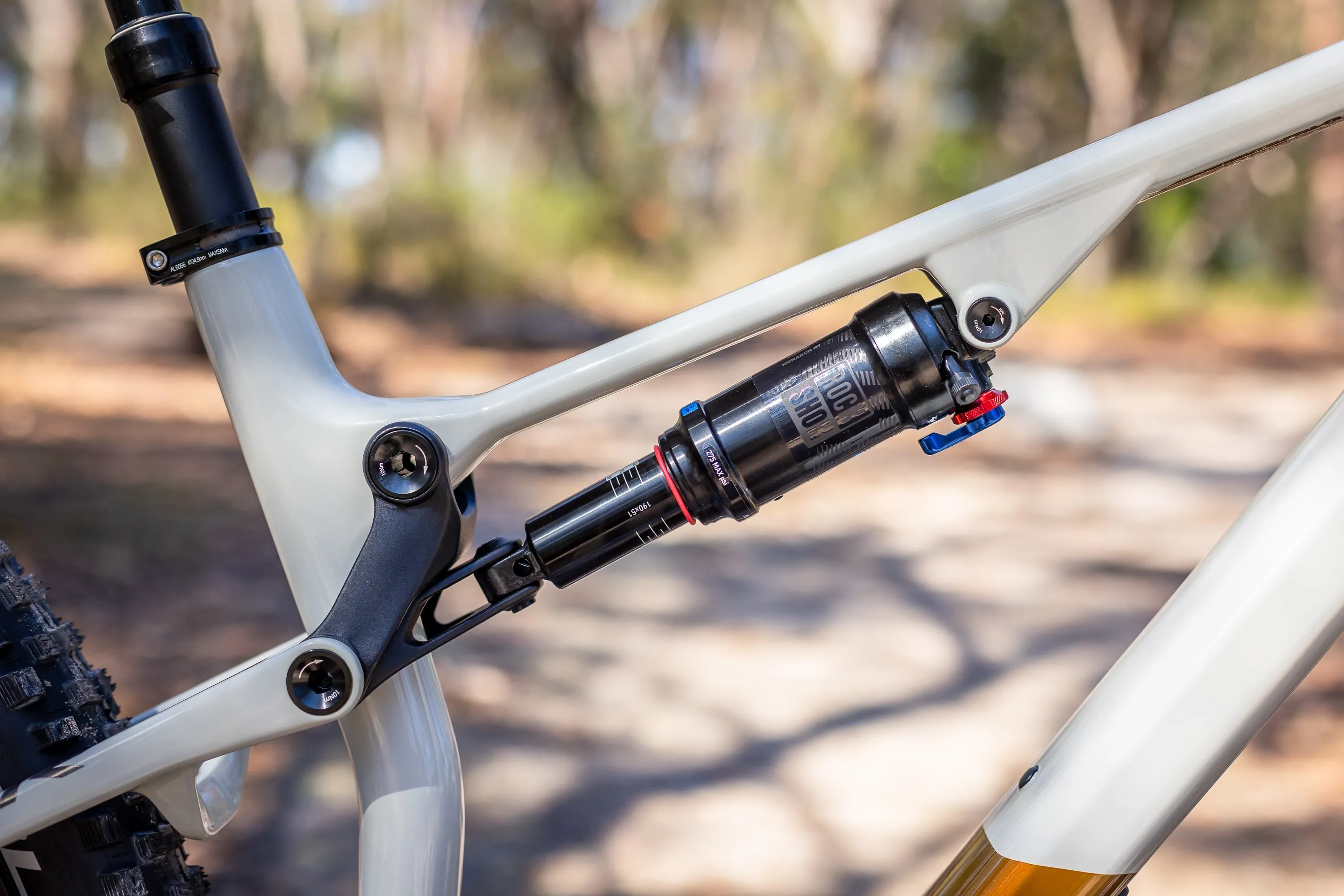 Superior XF 929 TR - Carbon Mountain Bike