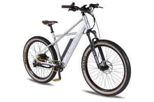 Surface 604 Quad 20Ah Mountain Electric Bike