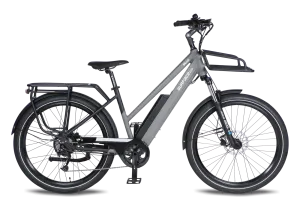 Surface 604 Werk Cargo 20AH Electric Bike