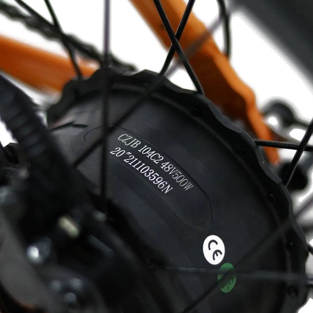 The Eunorau E-FAT-STEP Electric Bike
