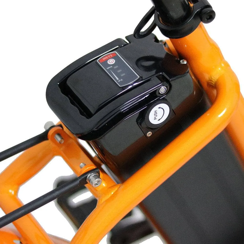 The Eunorau E-FAT-STEP Electric Bike