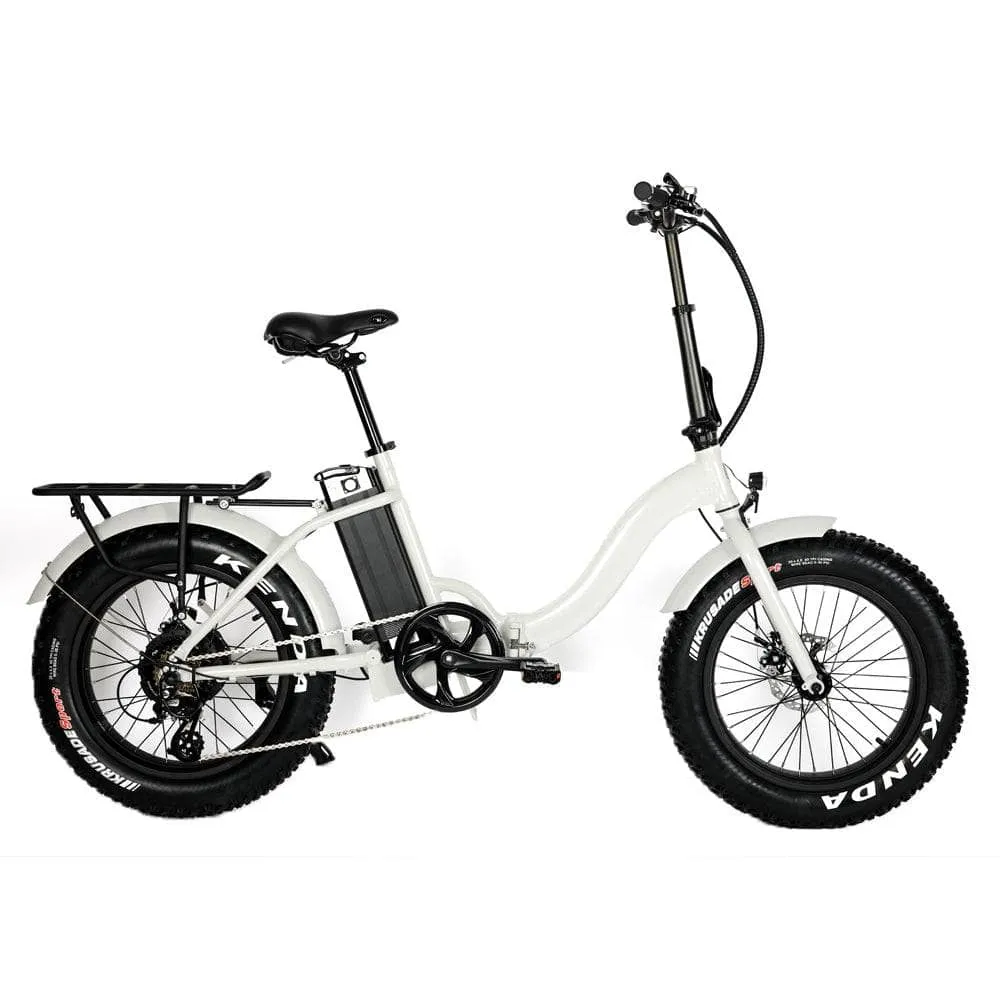 The Eunorau E-FAT-STEP Electric Bike