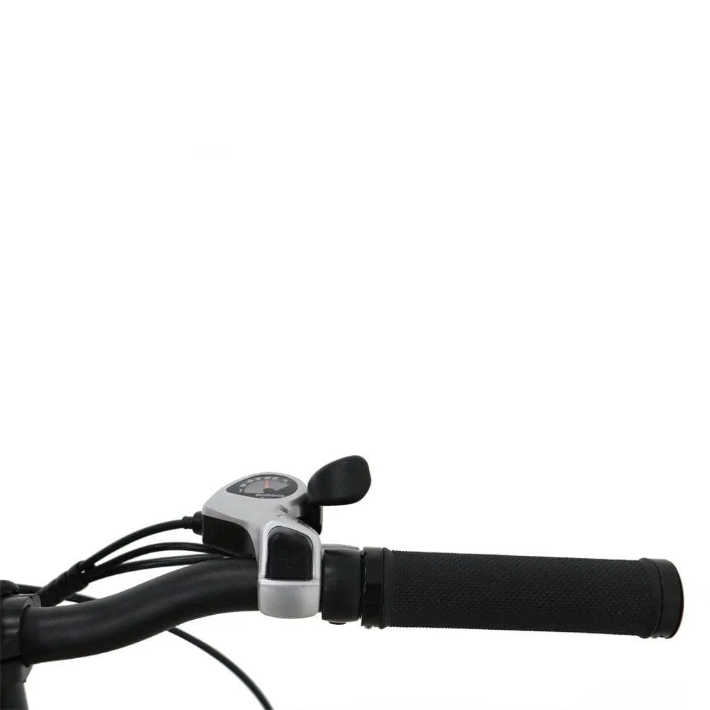 The Eunorau E-FAT-STEP Electric Bike