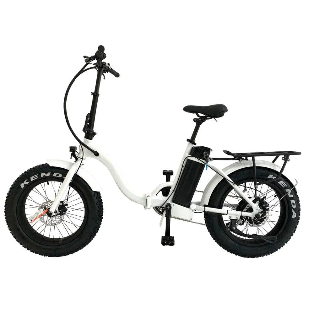 The Eunorau E-FAT-STEP Electric Bike