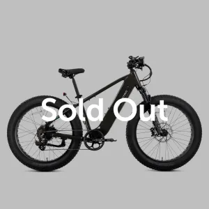 XPeak High-Step 2.0 Long-Range eBike